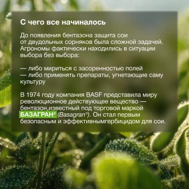 🌱 Одинаковое действующее вещество — разный результат