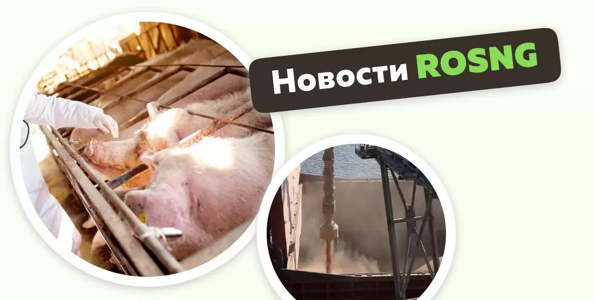 Обзор новостей за 22 апреля