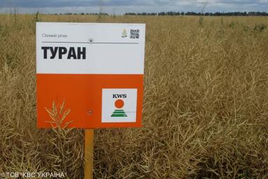 Туран (TURAN)