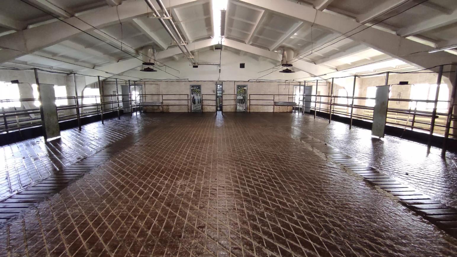 Нарезка полов в животноводческих помещениях