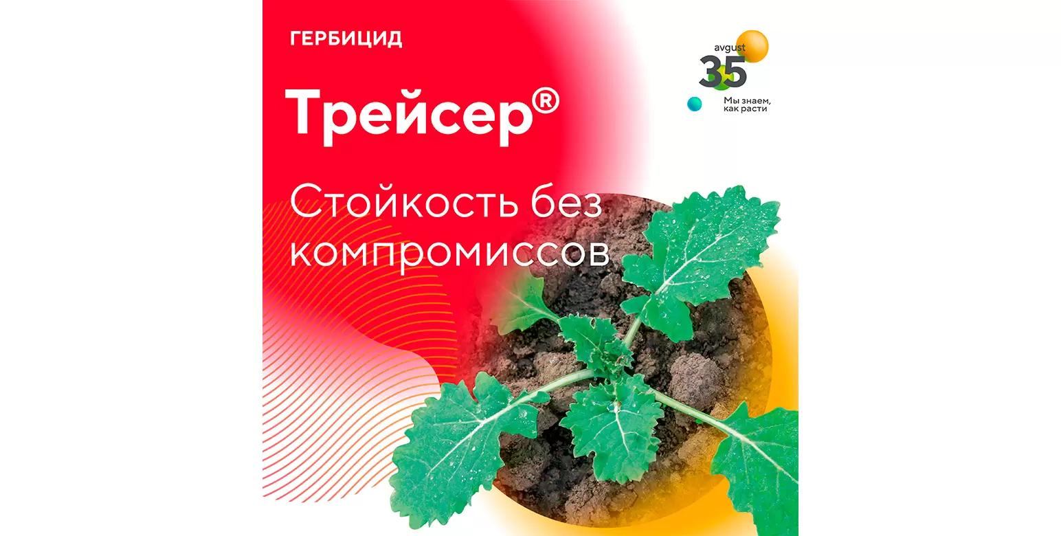 Трейсер® – гербицид для защиты озимого и ярового рапса
