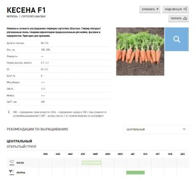 Кесена F1 (KESENA)
