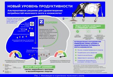 Незаменимые нутриенты для эффективного расщепления клетчатки