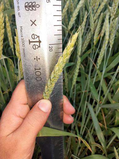 Агромониторинг 