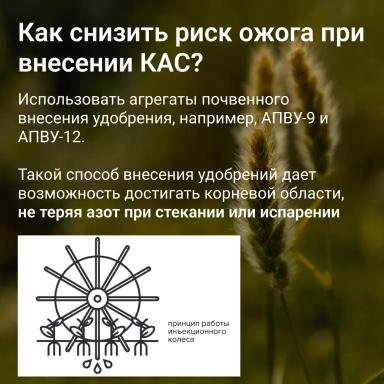 🔥 Топ-ошибок при внесении удобрений: как не навредить урожаю