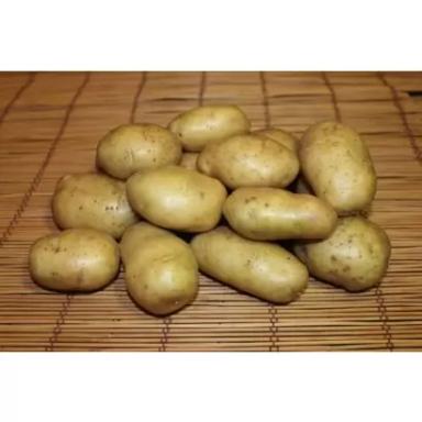 Никулинский