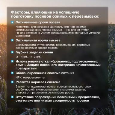 🌾 Озимые готовы к перезимовке!