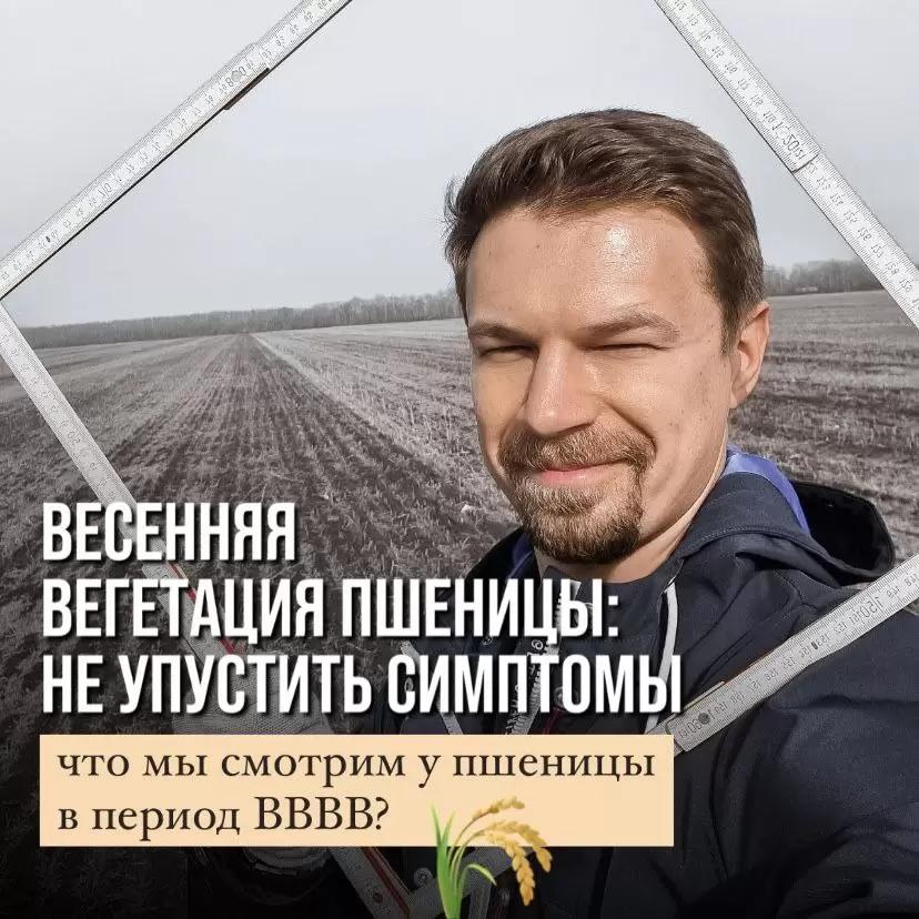 ВЕСЕННЯЯ ВЕГЕТАЦИЯ ПШЕНИЦЫ – КАКИЕ СИМПТОМЫ ВАЖНО НЕ УПУСТИТЬ?