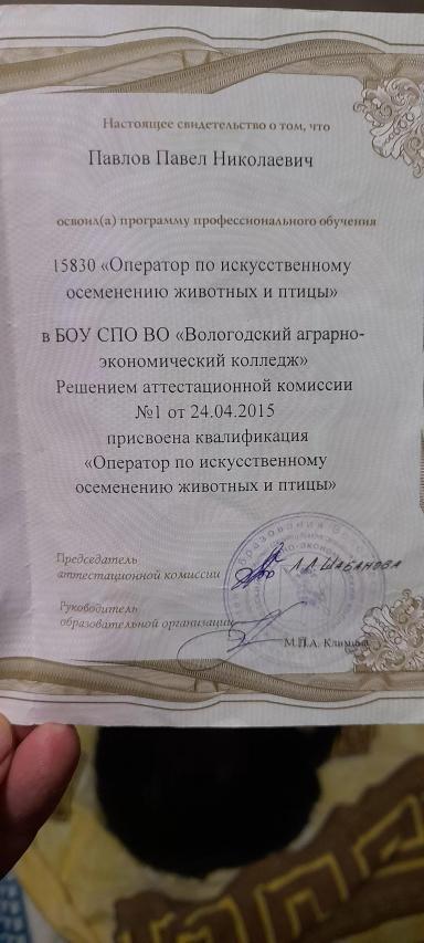 Резюме: люблю свою работу