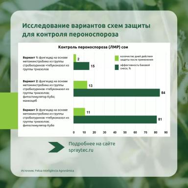 Зафиксировали вспышки пероноспороза (ложной мучнистой росы) сои