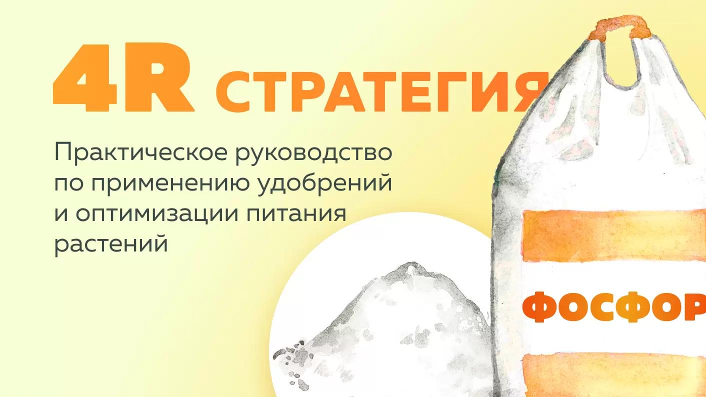 Фосфорные удобрения. Принцип 4П от IPNI 