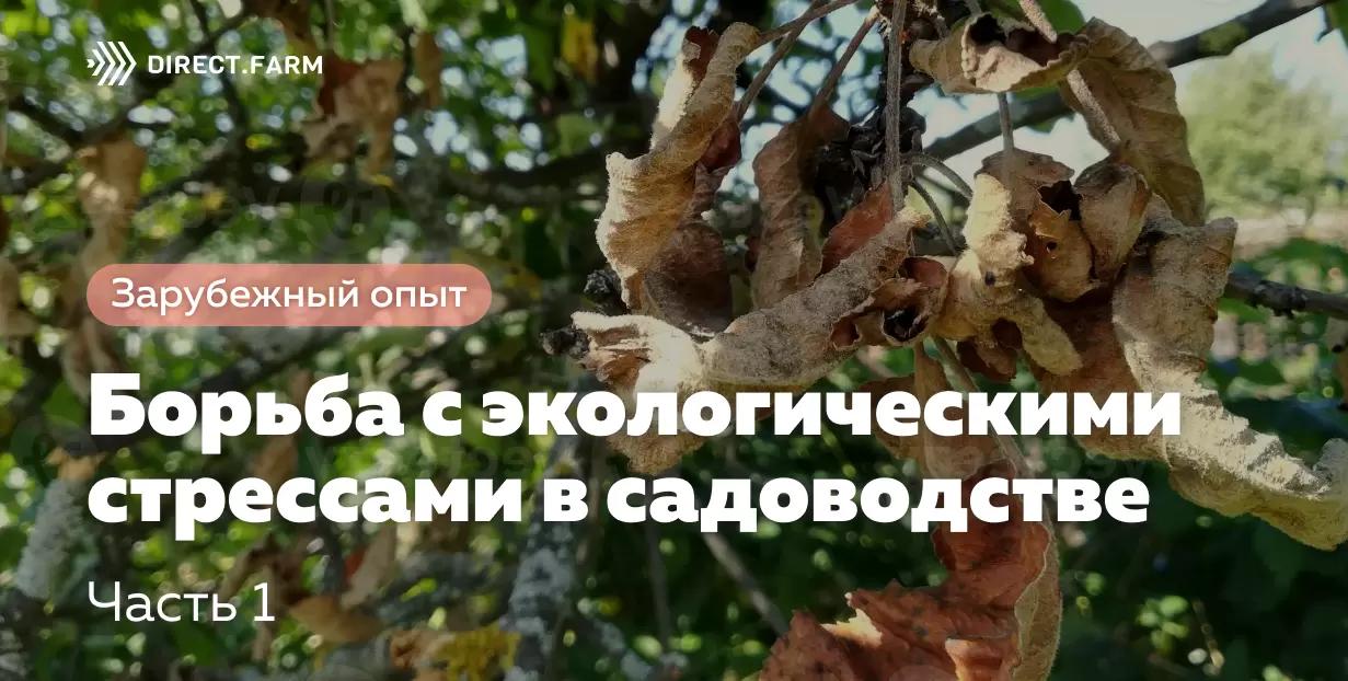 Борьба с экологическими стрессами в садоводстве. Часть 1