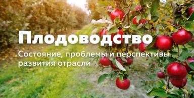 Насколько Россия зависима от зарубежного плодоводства?