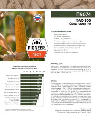 П 9074 - гибрид кукурузы Пионер