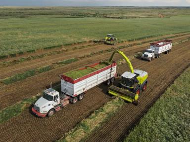 4096 тонн за 12 часов — новый мировой рекорд от CLAAS!