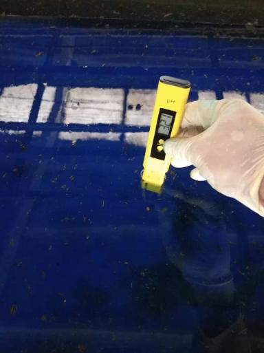 Базовые растворы для копытных ванн