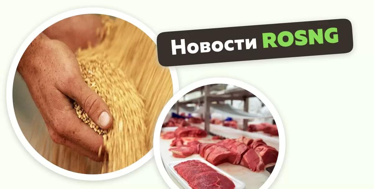 Обзор новостей за 13 февраля