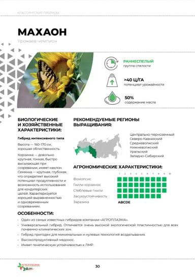 Махаон гибрид подсолнечника