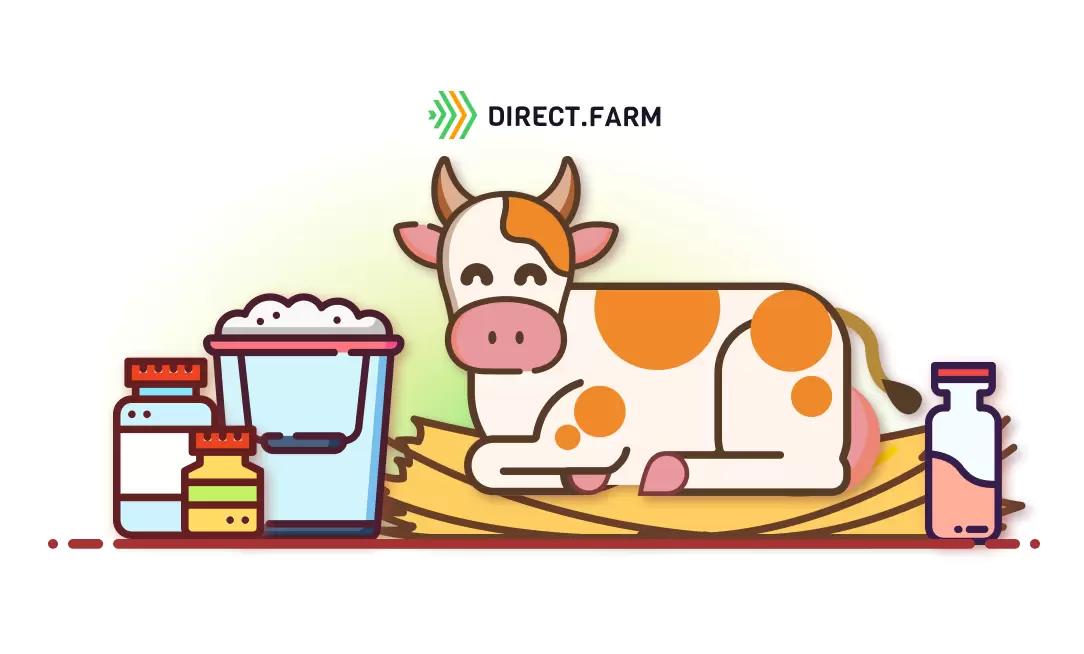 Как повысить рН подстилки для борьбы с колимаститом?