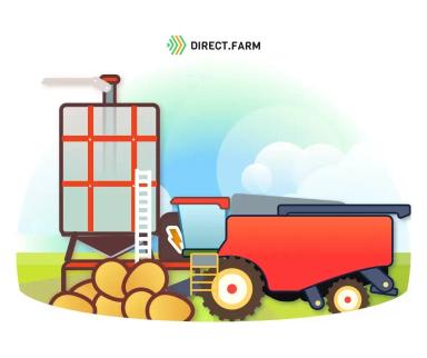 Особенности сушки семян зерновых