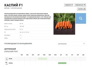 Каспий F1 (CASPI)