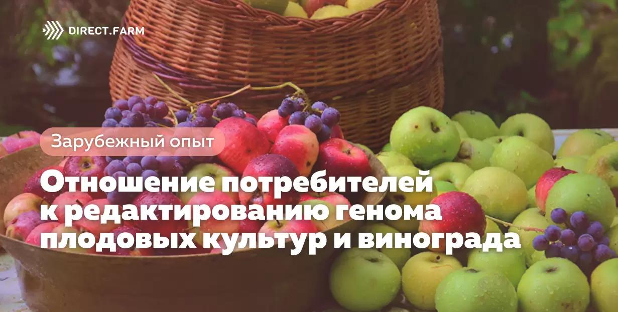 Отношение потребителей к редактированию генома плодовых культур и винограда