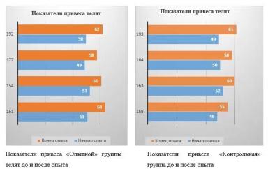 Оценка эффективности применения пробиотика «Споровит» при лечении гастроэнтерита телят