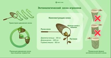 Энтомологический сачок