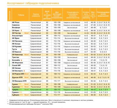 Сузука (SUZUKA) гибрид подсолнечника Сингента