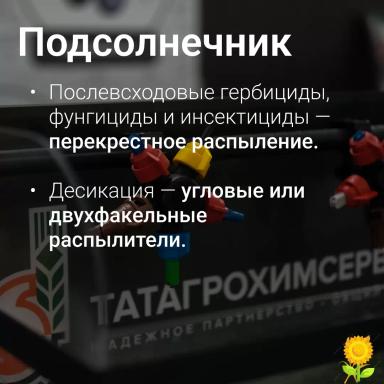 🎯 Точно в цель: подбираем распылитель под разные культуры