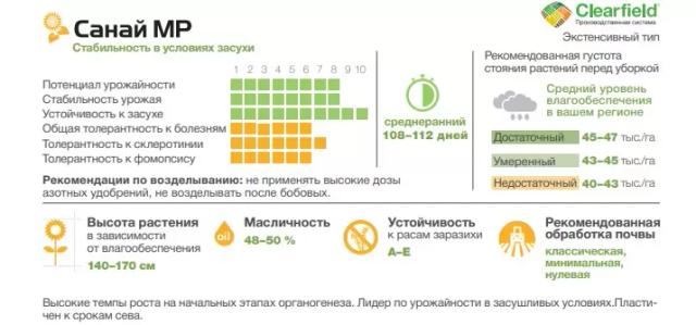 Санай МР гибрид подсолнечника