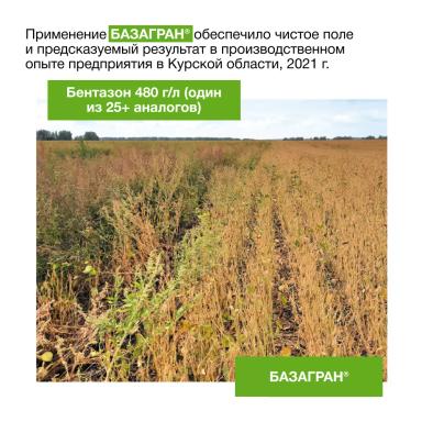 🌱 Одинаковое действующее вещество — разный результат