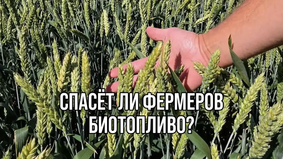СПАСЕТ ЛИ ФЕРМЕРОВ БИОТОПЛИВО?