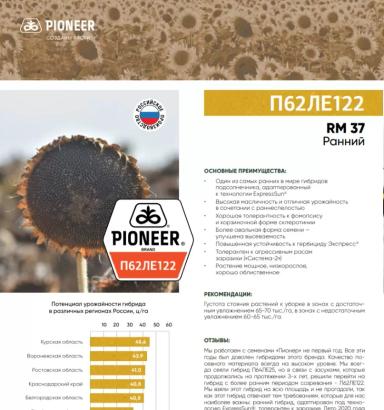 П 62 ЛЕ 122  гибрид подсолнечника Пионер