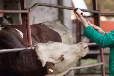 Обзор новостей за 21 января