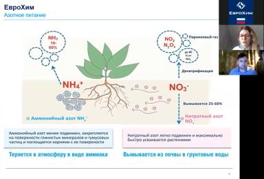 Мифы об азотном питании и азотных удобрениях