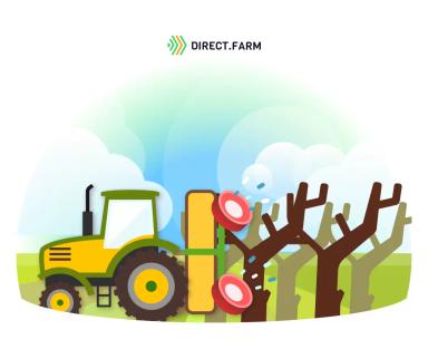 Ранневесеннее опрыскивание яблони по “зеленому конусу”