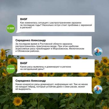Заразиха в Ростовской области