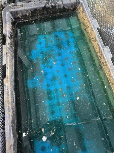 Стратегический комплексный подход к здоровью копыт