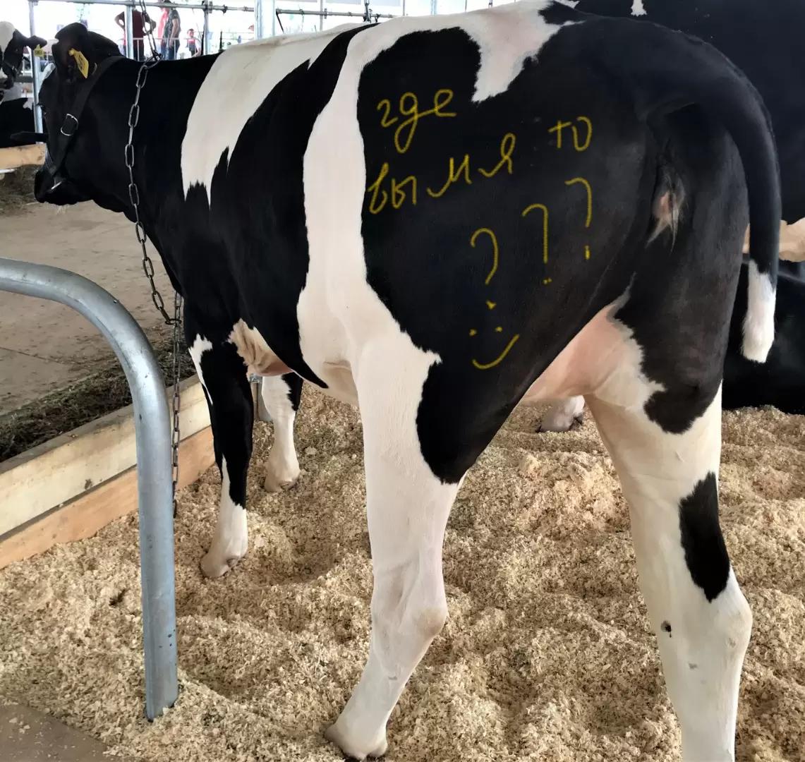 Раннее развитие молочной железы.