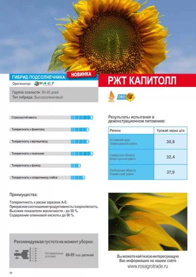 РЖТ Капитолл