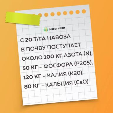 Записки животновода