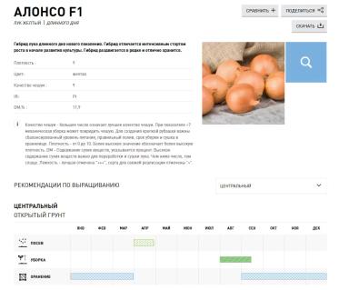 Алонсо F1 (ALONSO)