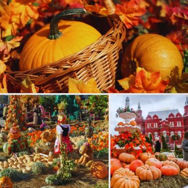 Тыква: от плодородия полей до красивого декора 🎃🍂