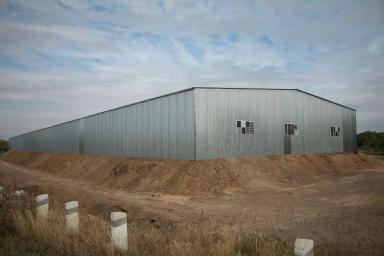 Строительство ангаров-зерноскладов шириной от 24м для КФХ, фермеров