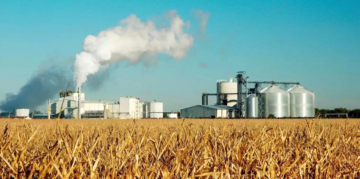 Правительство выделит более 1,4 млрд руб на объекты переработки сельхозпродукции