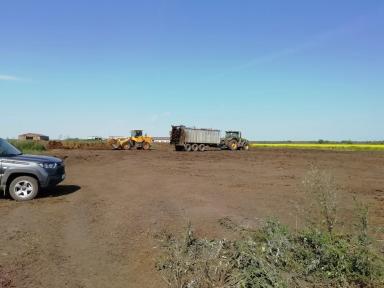 Как Вам такое комбо!?