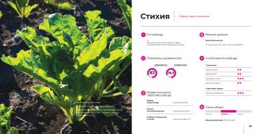 Стихия