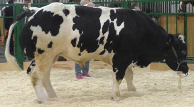 Золотая Осень 2021