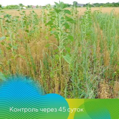 Комплексная защита льна